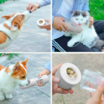 BOTELLA PORTATIL 4 EN 1 MULTIFUNCIONAL PARA MASCOTAS
