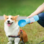 BOTELLA PORTATIL 4 EN 1 MULTIFUNCIONAL PARA MASCOTAS
